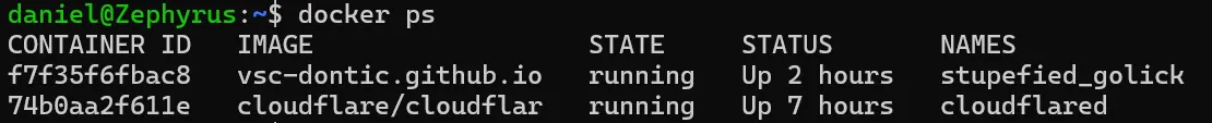 Docker ps after